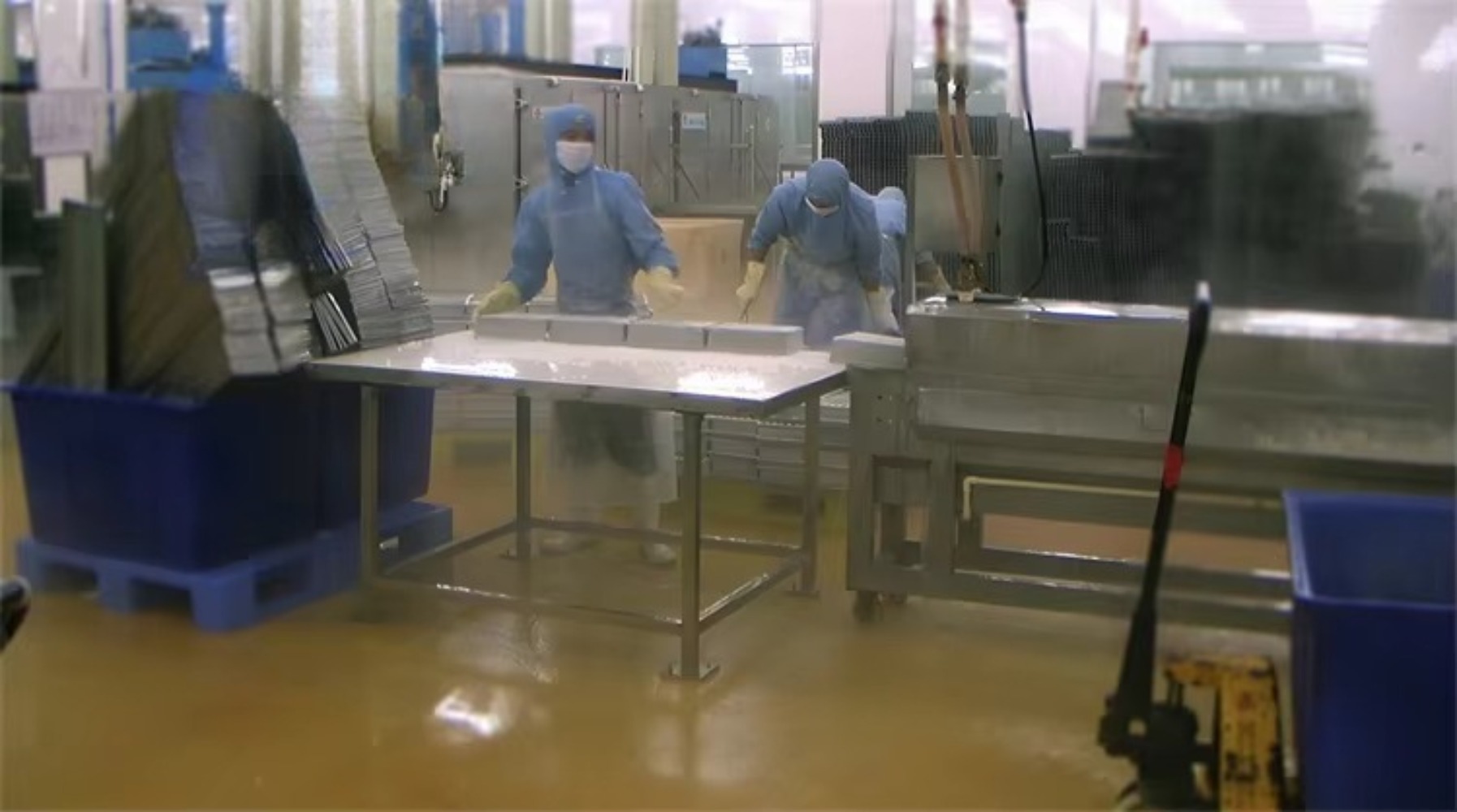 Seafood fish and shrimp proces - Fishing Equipment avis et prix
