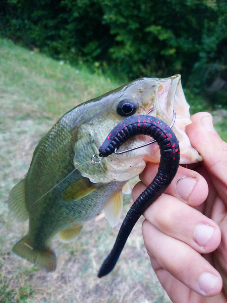 Esfishing Silicone Soft Bait T - Fishing Equipment Ebay avis et prix