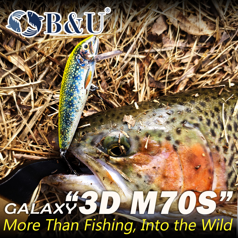 B&U Sinking Minnow Fishing Lur - Fishing Equipment For Trout avis et prix
