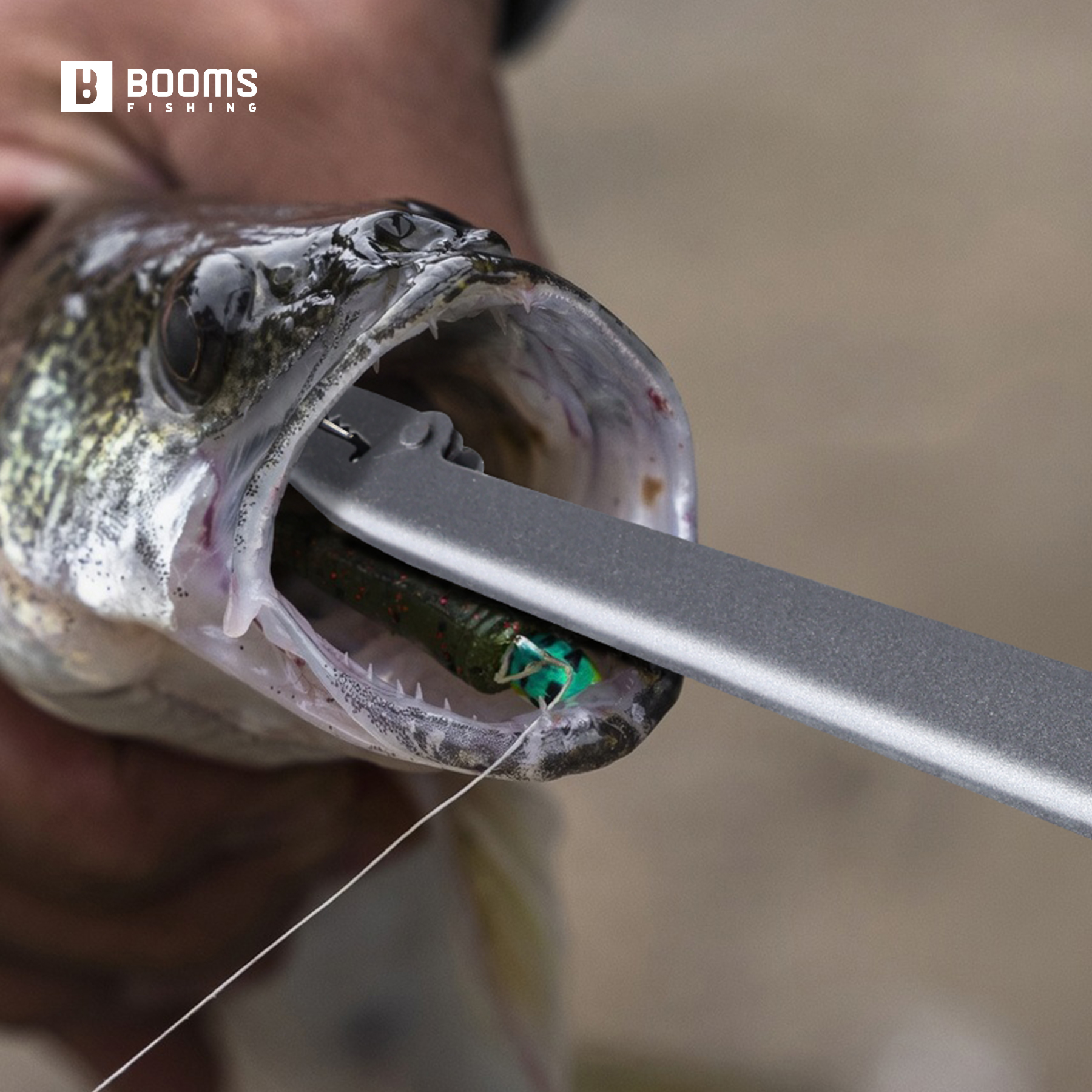 Booms Fishing 25cm Carbon Stee - Fishing Equipment Warehouse avis et prix